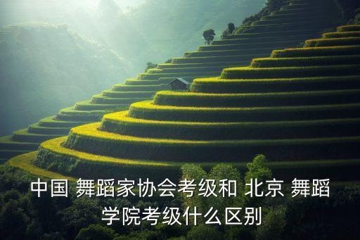 中国 舞蹈家协会考级和 北京 舞蹈 学院考级什么区别
