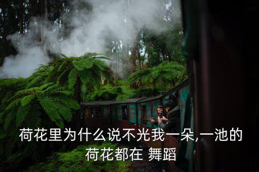  荷花里为什么说不光我一朵,一池的 荷花都在 舞蹈