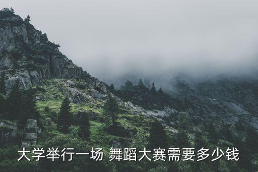 舞蹈表演钞票,我国肚皮舞女将参加央视艺术节目的决赛
