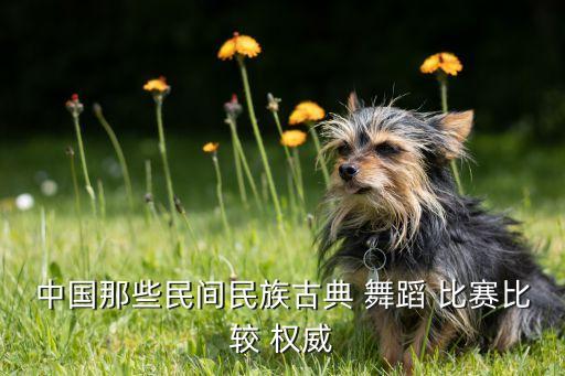 中国那些民间民族古典 舞蹈 比赛比较 权威