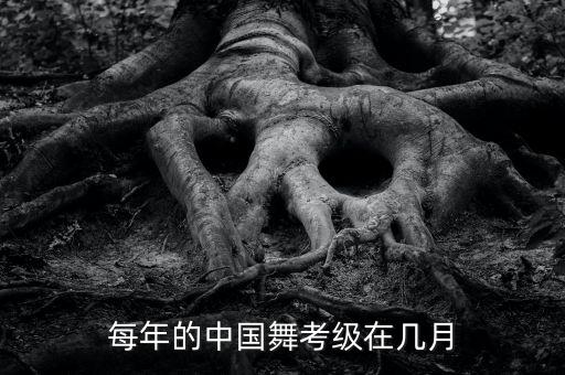 中国舞蹈等级考试教材四级,中国民族民间舞蹈等级考试教材四级