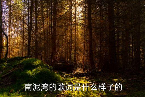 舞蹈分解动作南泥湾,健身球南泥湾分解动作