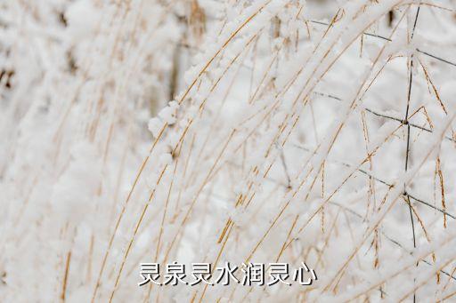 心如此水完整舞蹈