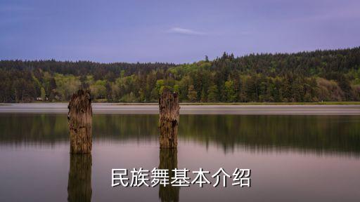 最重要的舞蹈调度是(