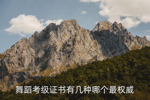 中国舞蹈家协会10级3