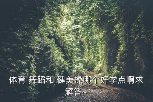 舞蹈与健美操,舞蹈健美操导师需要资格证书吗