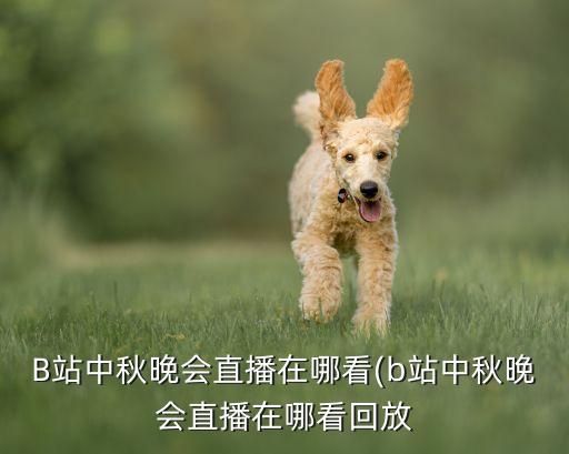 花好月圆简单舞蹈动作