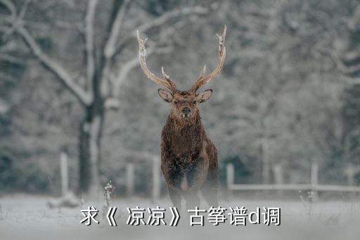 凉凉歌曲舞蹈分解,凉凉舞蹈视频完整版分解动作