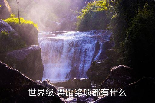 大型舞台获奖表演舞蹈视频