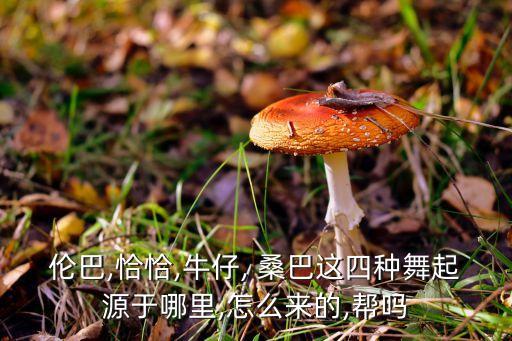 儿童版桑巴永远快乐舞蹈