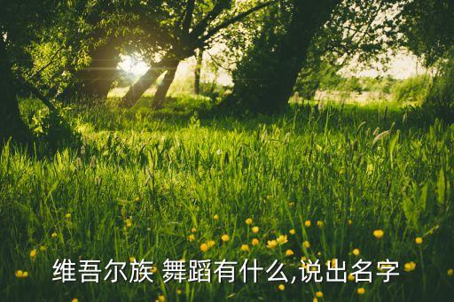 花儿为什么这样红舞蹈独舞,新疆舞蹈花儿为什么这样红独舞