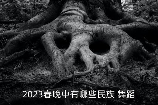 喜庆过年舞蹈表演舞蹈