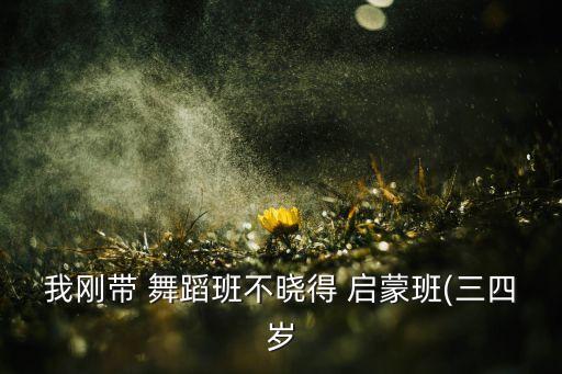 启蒙班舞蹈的上课流程,儿童启蒙班舞蹈教学的基本流程