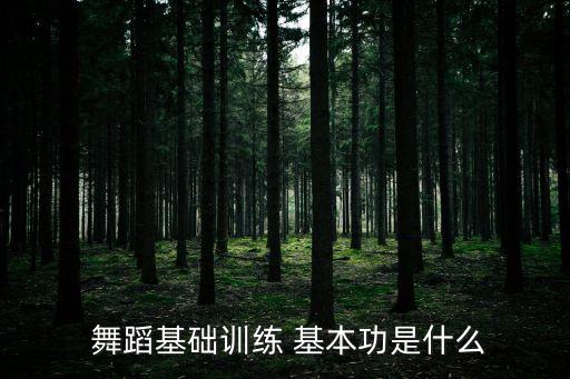 专业人士舞蹈基本功