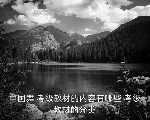 儿童考级舞蹈三旗语兵,儿童舞蹈考级证书查询入口
