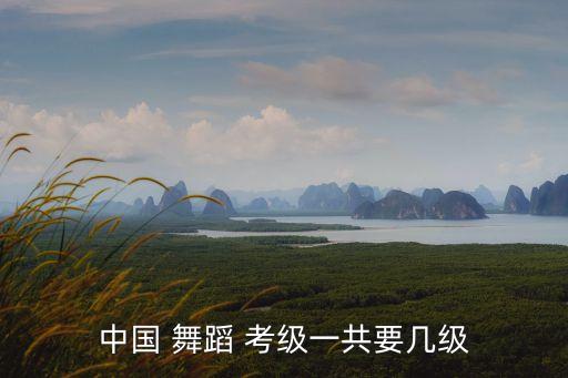 教师舞蹈考级共多少级,舞蹈教师编制考试内容