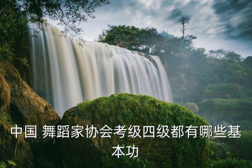 东北舞蹈怎么跳,大东北我的家乡舞蹈