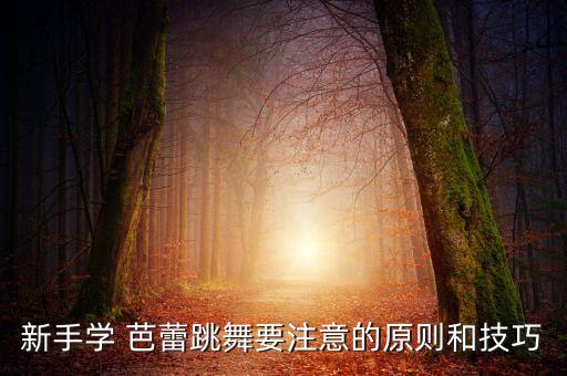 舞蹈芭蕾压腿音乐,芭蕾舞蹈鉴赏论文1000字