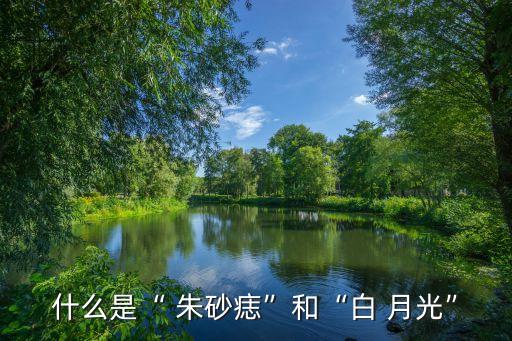 白月光与朱砂痣古典舞蹈