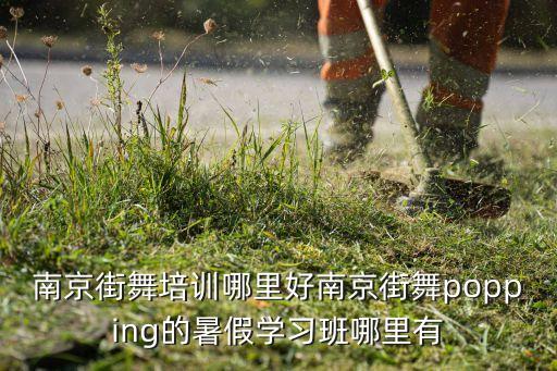 暑期舞蹈培训班,舞蹈培训班一般多少钱一个月