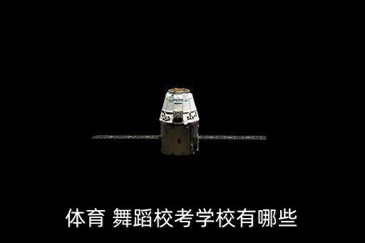 广州舞蹈学院2021年,广州芭芭拉国际舞蹈学院