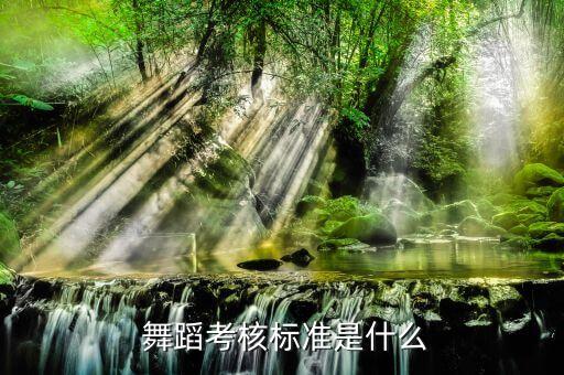 九级舞蹈组合平转,中国舞九级舞蹈组合视频全部