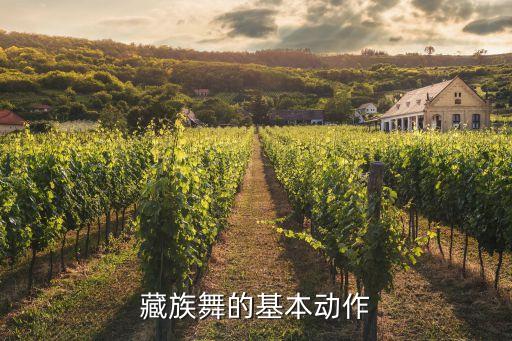 舞蹈高讲,舞蹈 境 讲了什么