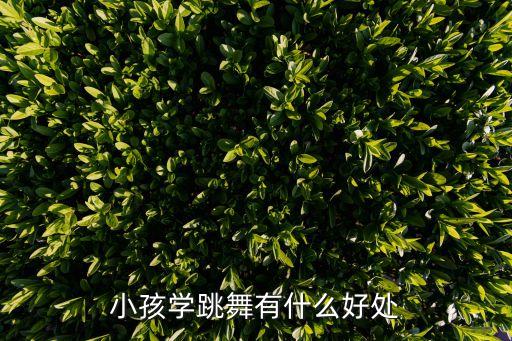 笑纳民族舞蹈