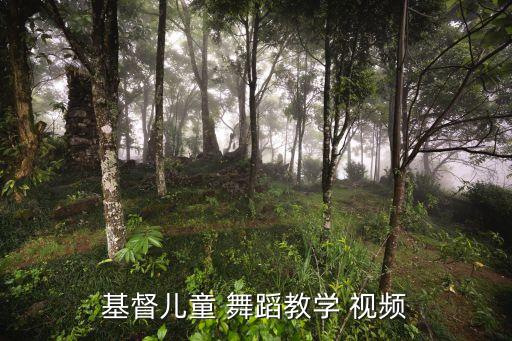 少儿天堂独舞蹈视频,三寸天堂舞蹈教学视频完整版