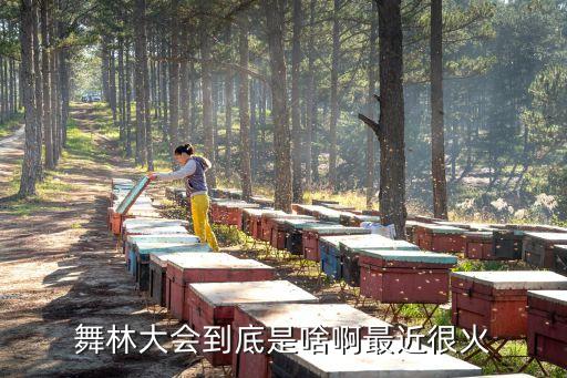 舞蹈亮相