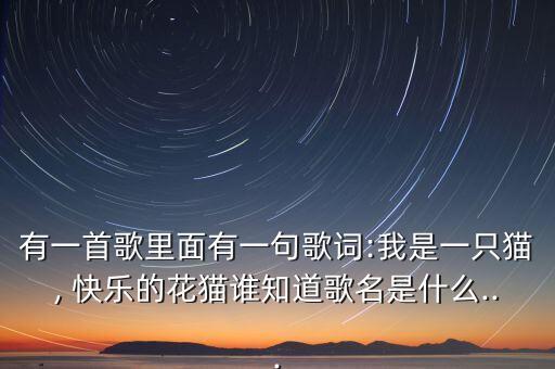 舞蹈快乐星猫