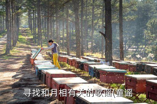 儿童舞蹈弯月亮mp3
