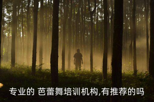 芭蕾少儿舞蹈培训班,天鹅湖少儿芭蕾舞蹈艺术中心