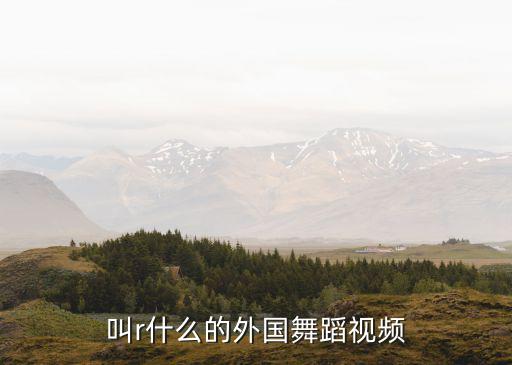 一个叫r什么的外国舞蹈视频