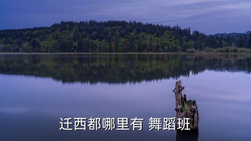 小娜舞蹈背面分解动作,笑纳舞蹈视频完整版分解动作