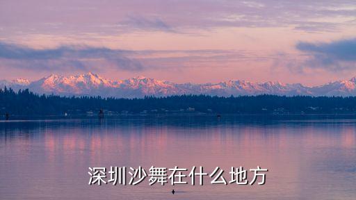南山区租舞蹈服,乌鲁木齐租舞蹈服的地方