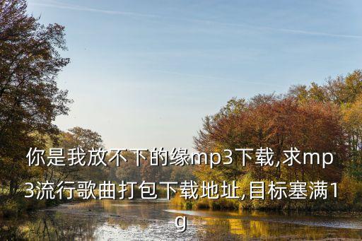 舞蹈你是我放不下的情缘,歌词你是我放不下的情缘是什么歌名