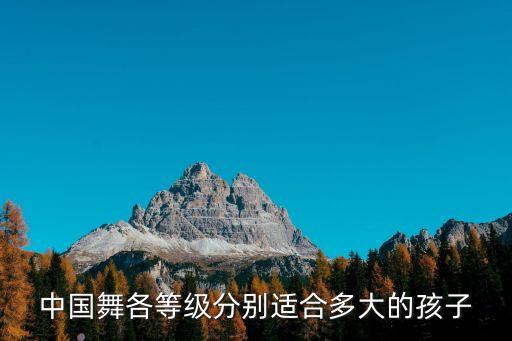 中国七级舞蹈