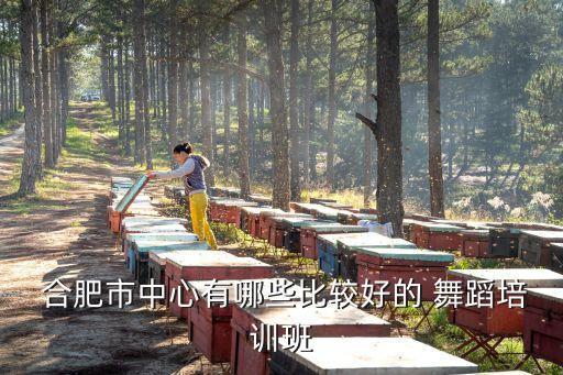 合肥英语舞蹈学院,考沈阳舞蹈学院文化课需要英语