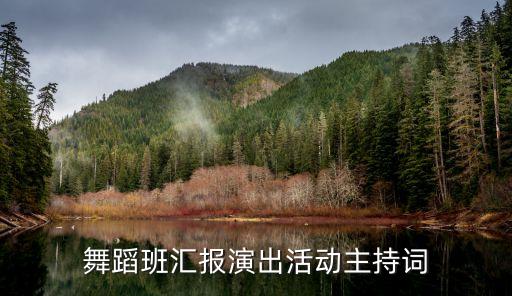 2007舞蹈队雨花石,雨花石的等待舞蹈观后感