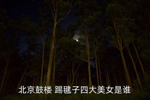 踢毽子民舞蹈视频大全,毽子舞蹈视频本草纲目