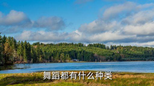四人舞蹈古典舞女,舞蹈风暴古典舞女