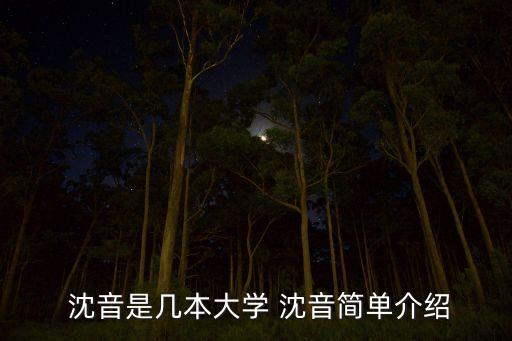沈音附中舞蹈学校资料,广舞和沈音舞蹈附中