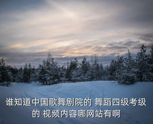 歌曲国家舞蹈视频独舞,古典舞蹈视频大全独舞完整版