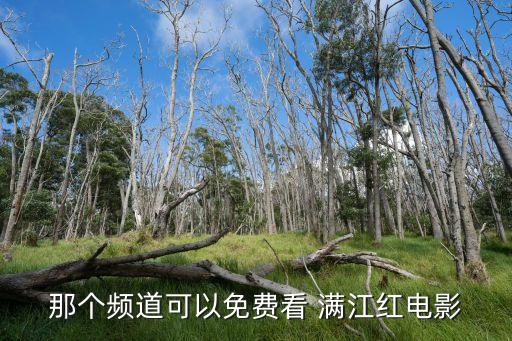 cctv舞蹈大赛满江红,满江红舞蹈视频小学生