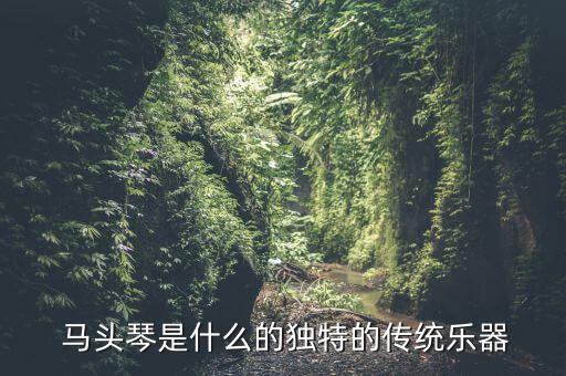 黑小伙 马头琴舞蹈,马头琴演奏黑小伙