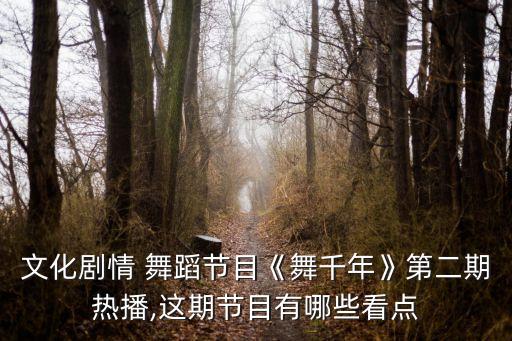 舞蹈洛神的背景,洛神水赋舞蹈完整版