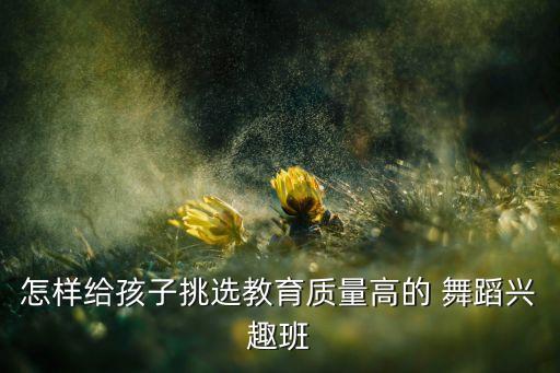 小孩学舞蹈专业舞蹈学校,欢乐的海洋舞蹈专业舞蹈