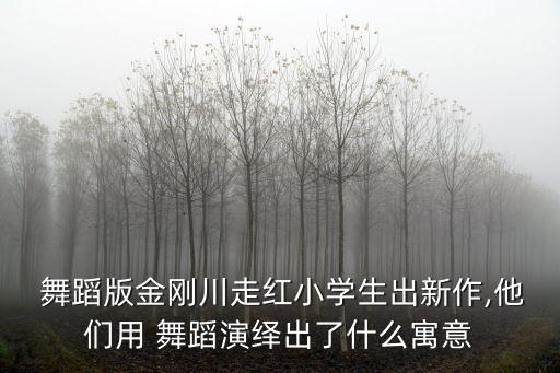 红色主题男生舞蹈,小荷风采红色主题舞蹈