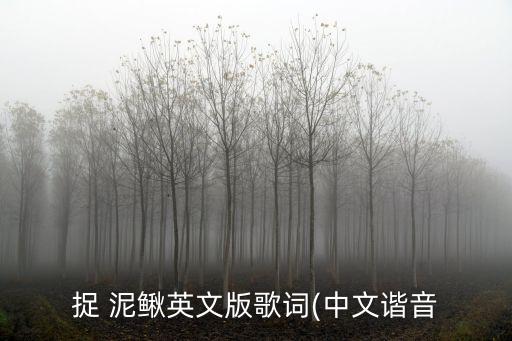 抓泥鳅舞蹈视频,提泥鳅舞蹈